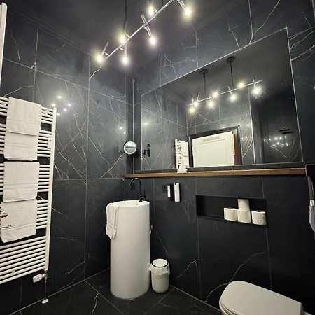 Historical Luxury Homes - Familiensuite Mit Terrasse Freiburg im Breisgau