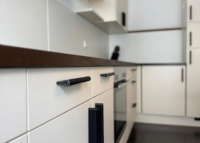 Historical Luxury Homes - Familiensuite Mit Terrasse * Фрайбург